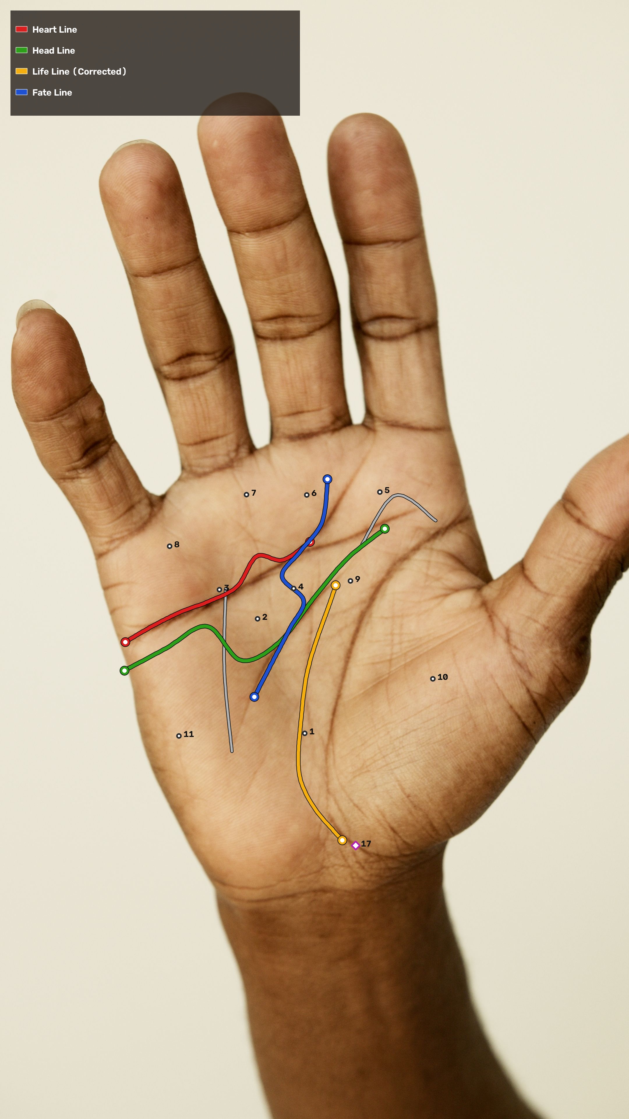 Computer Vision Detected Palm Lines and Mounts - Right Hand